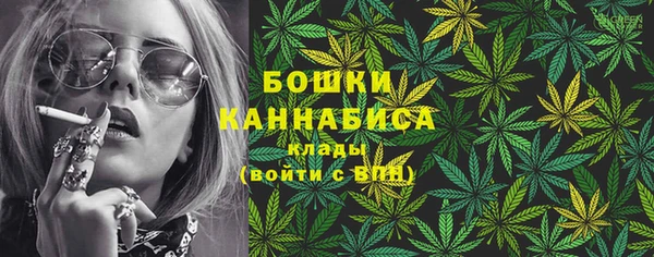 мет Инта