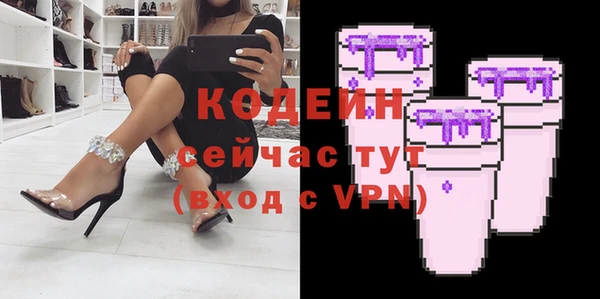 мет Инта
