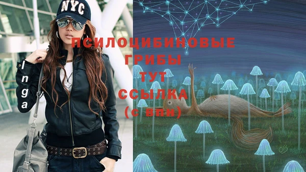 мет Инта
