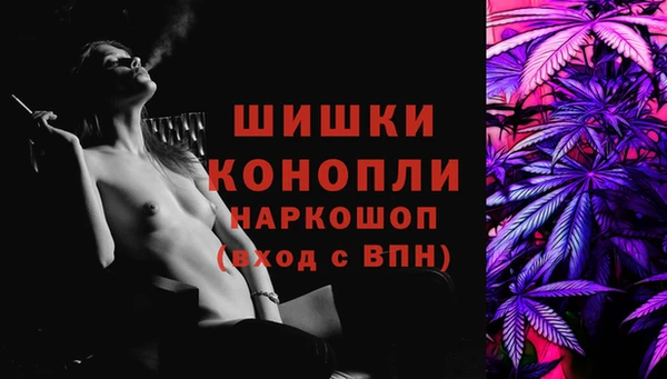 мет Инта